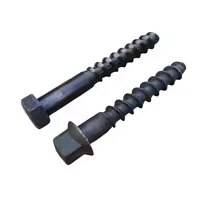 Coach Screw Spikes Railway Fastnerner